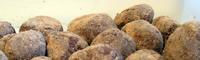 Truffes au chocolat Truffes au chocolat